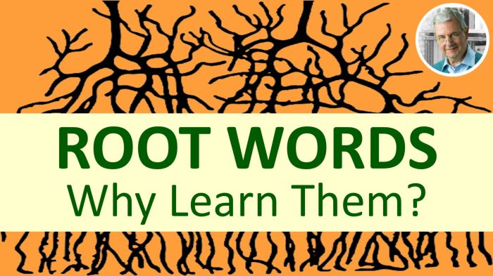 Root worksheet worksheets suffix 3rd vocabulary 99worksheets