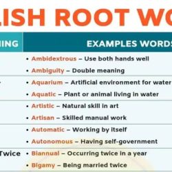 Words with the root phob