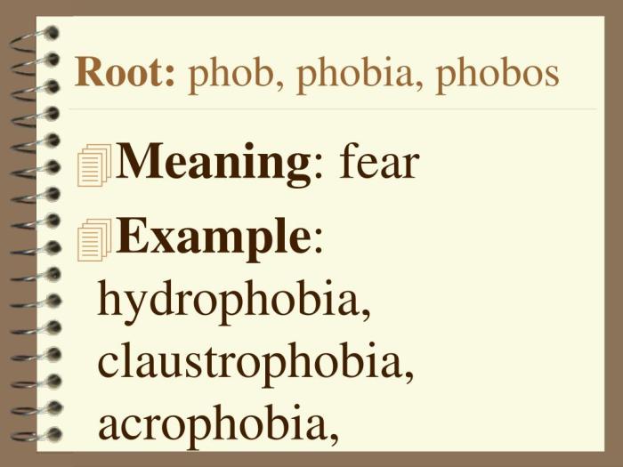 Word root suffixes roots prefixes affixes suffix prefix fear anxieties phobias ween phonics ate activ