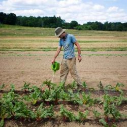 Farmer planting