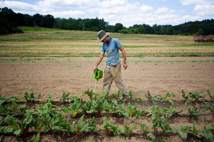 Farmer planting