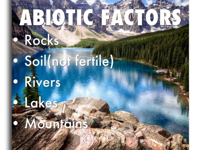 Abiotic factors of a taiga