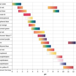 Acid or base indicator crossword