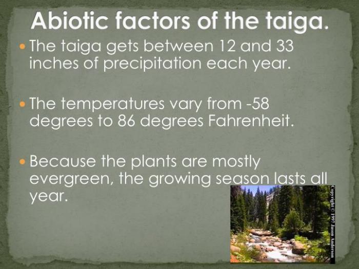 Abiotic factors of a taiga