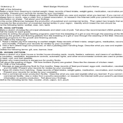 Camping merit badge workbook answers