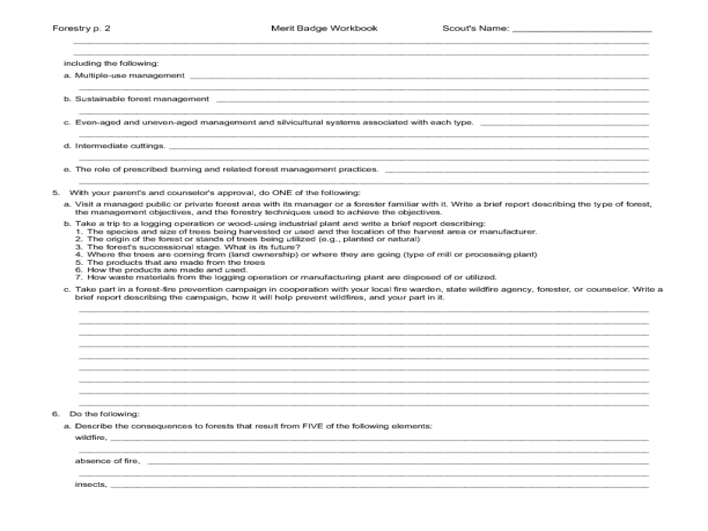 Camping merit badge workbook answers