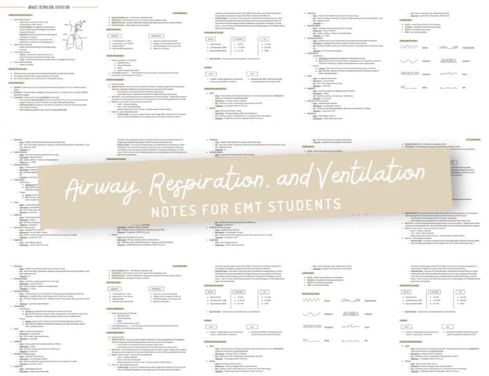 Nremt airway respiration and ventilation