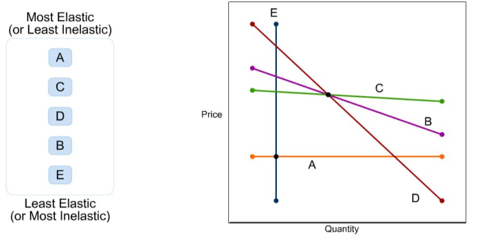 Elastic demand solved depicts inelastic transcribed