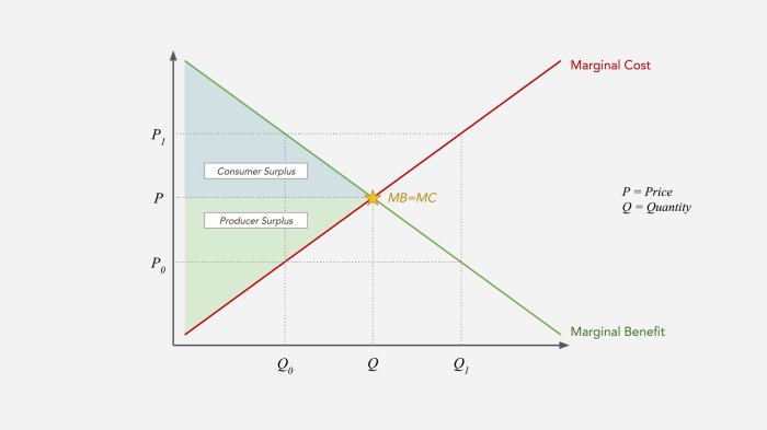 The graph shows the marginal social benefit curve