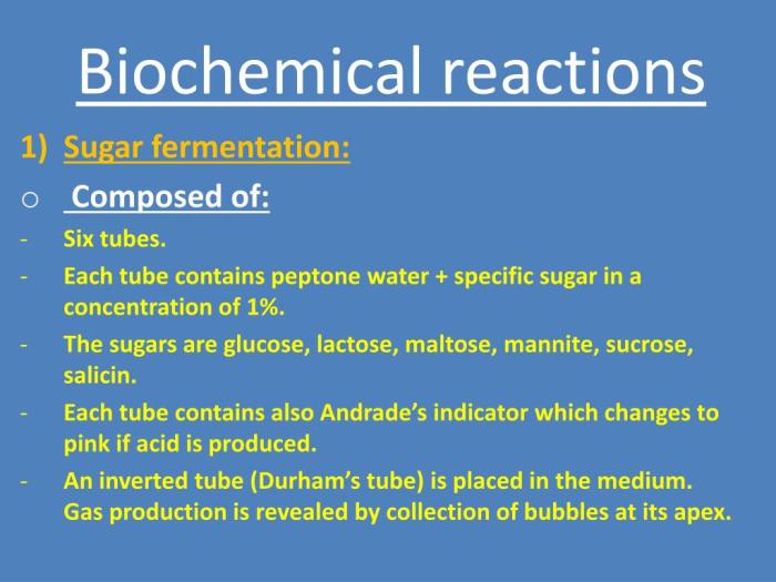 Age smart has been developed to impact the biochemical reactions.